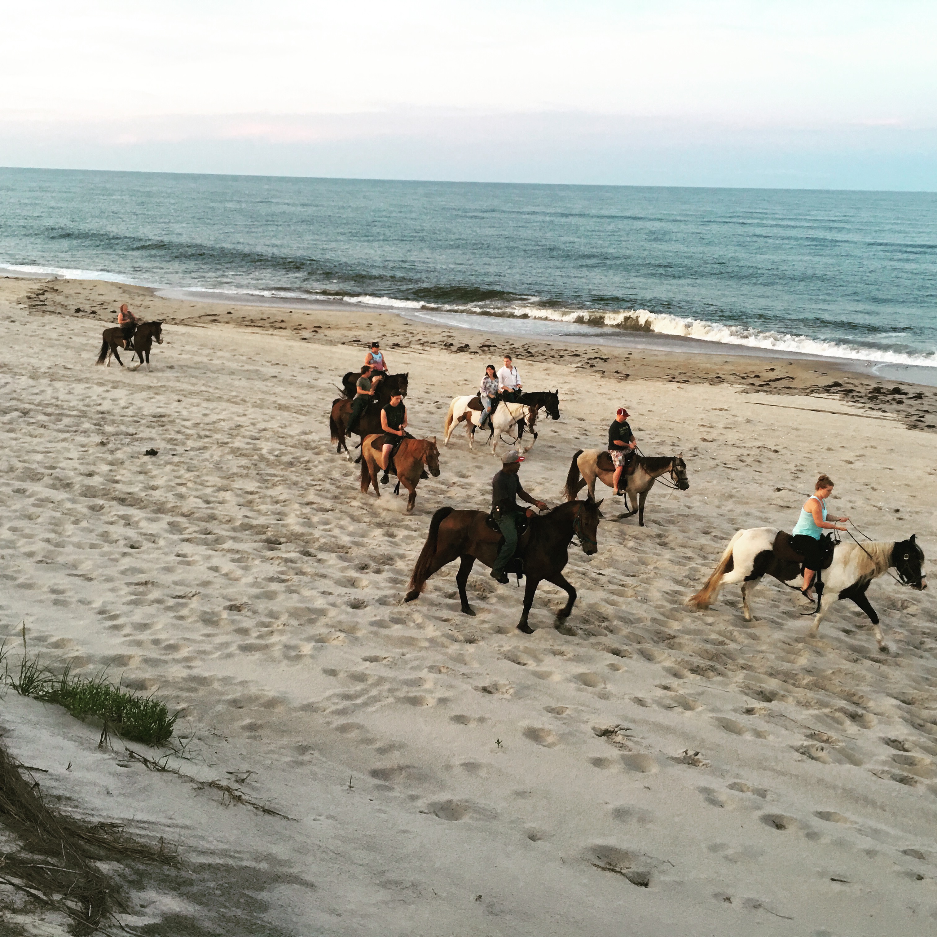 Outer Banks (OBX) Horseback