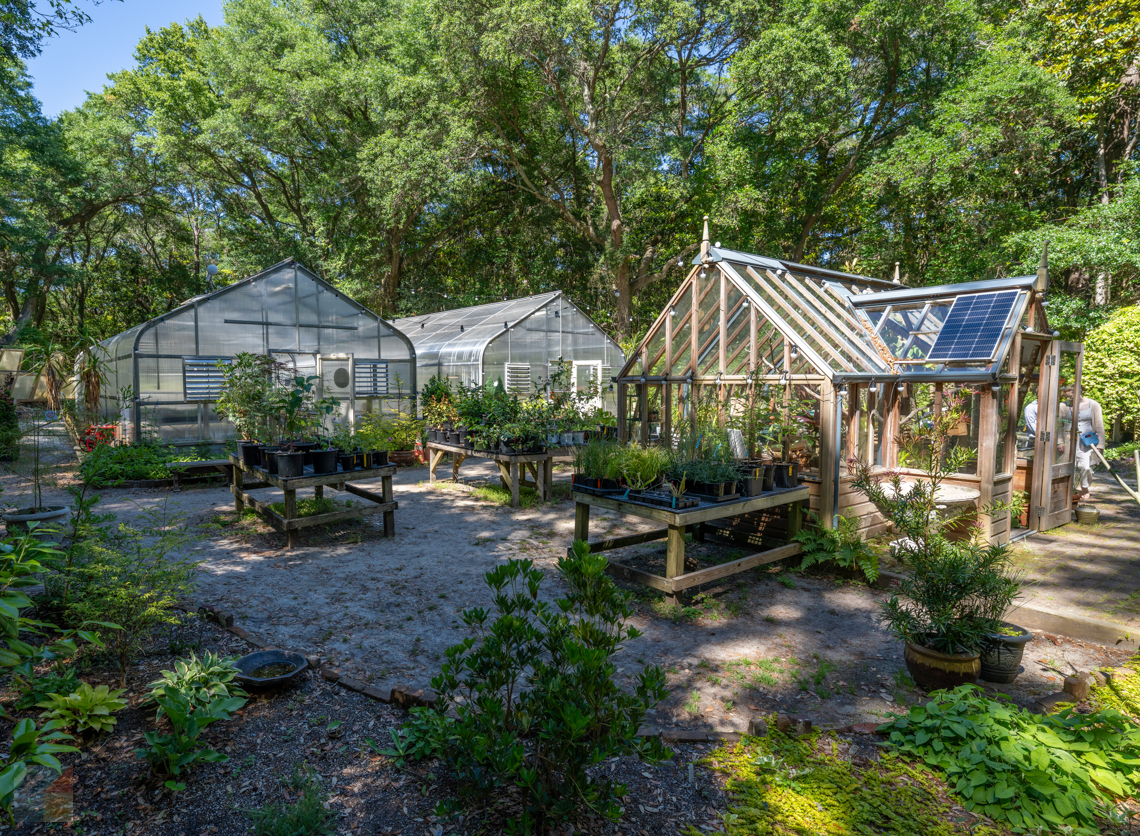 Elizabethan Gardens plant sales