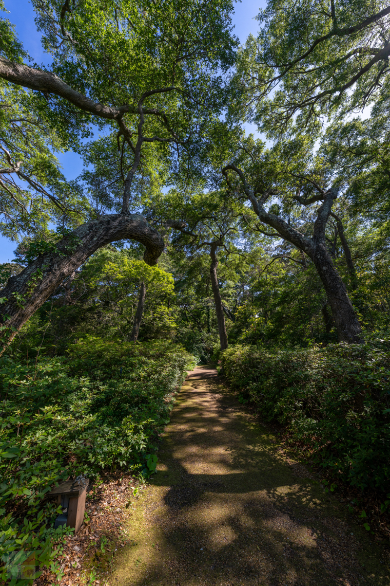 Elizabethan Gardens