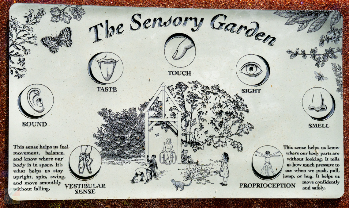 Elizabethan Gardens sensory garden