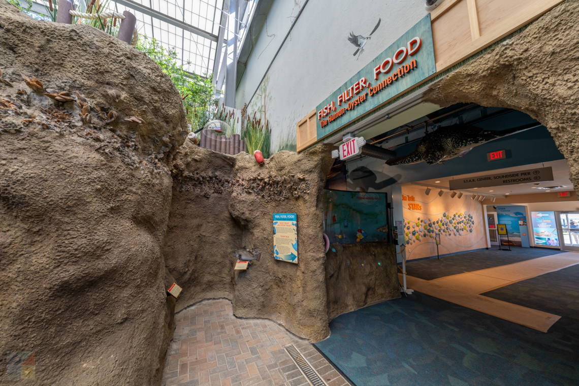 NC Aquarium on Roanoke Island