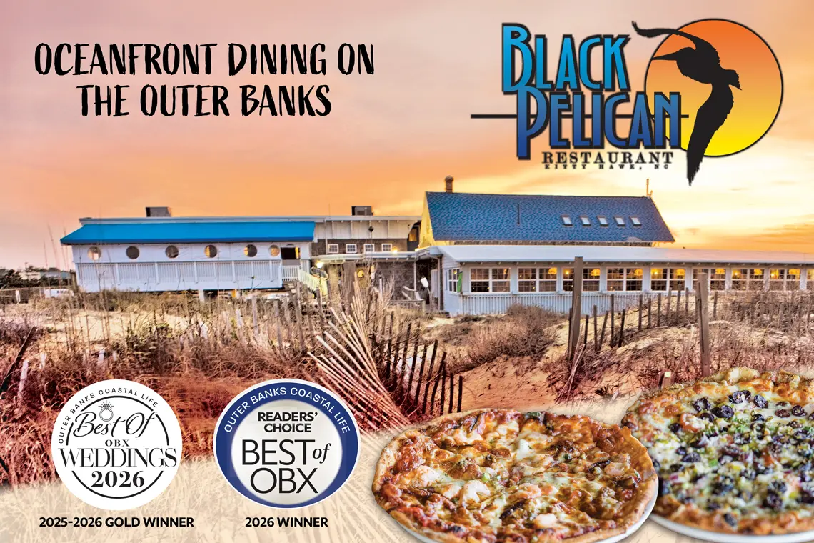 Black Pelican