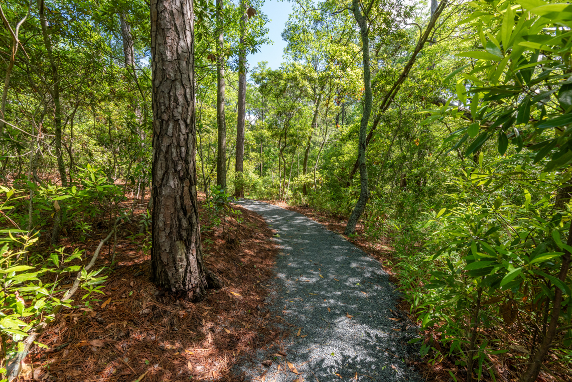Kitty Hawk Woods Coastal Reserve