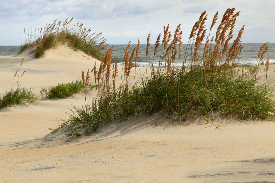 Kitty Hawk Beach Information - Kitty-Hawk.com